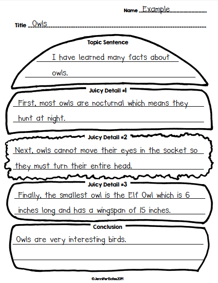 Hamburger essay writing outline